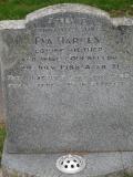 image of grave number 302235